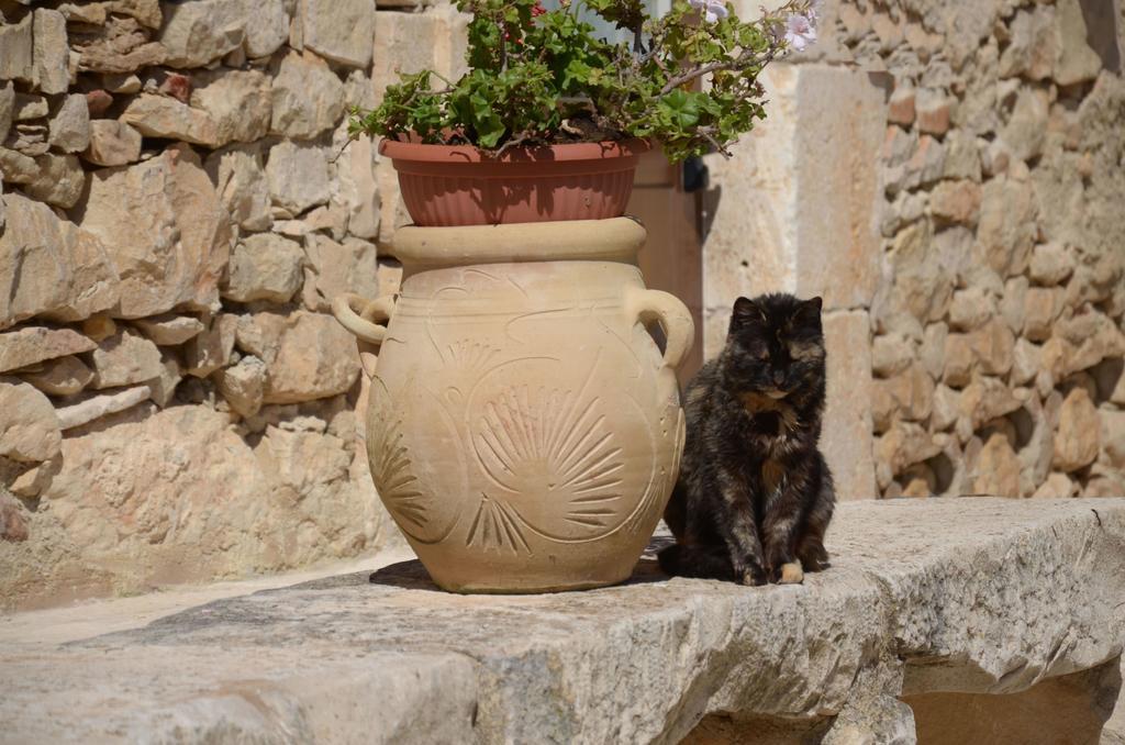 Casina Di Grotta Di Ferro Guest House Santa Croce Camerina Eksteriør bilde